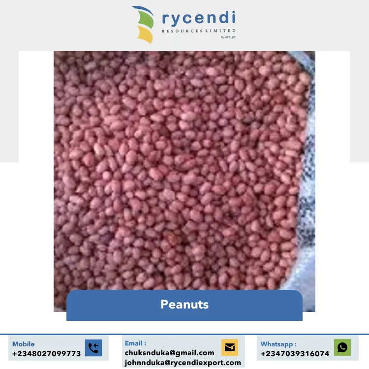 100% Natural Nigeria Origin Export Good Quality Dried Raw Peanuts for Wholesale Buyers at Bulk Price