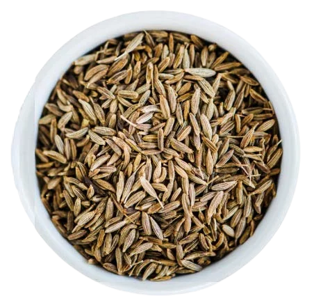 PURE AND NATURAL PREMIUM QUALITY CUMIN POWDER FROM GUJARAT INDIA AT VERY COMPETETIVE RATE BY MINDTREE INDUSTRIES PRIVAGE LIMITED