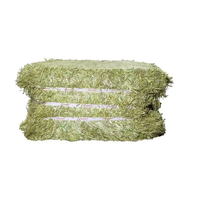 Animal Feed Grade Top Quality Alfalfa Hay Pellets For Sale Top Grade In Bulk Quality Rhodes Grass Hay 1/6 Best Factory Price