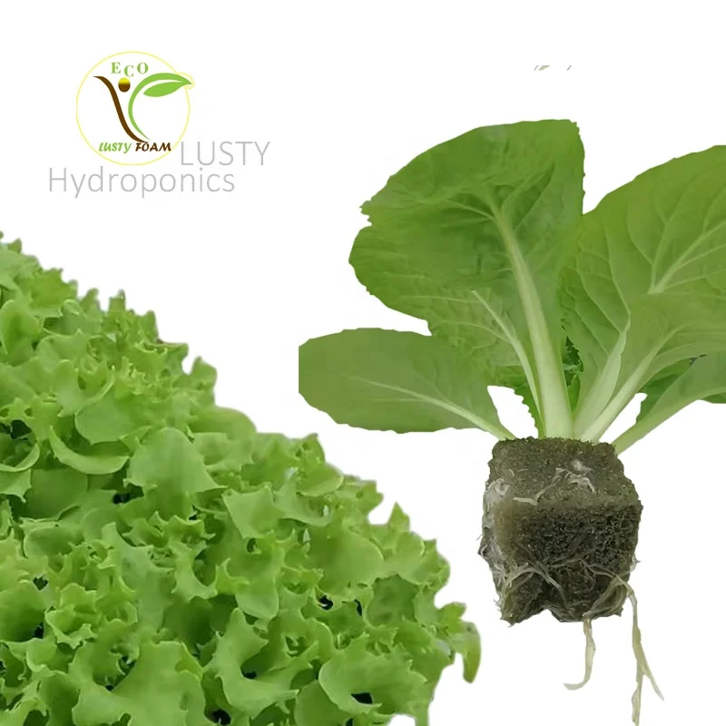 Хит продаж, разлагаемое и эффективное средство для выращивания растений в теплицах и садоводстве