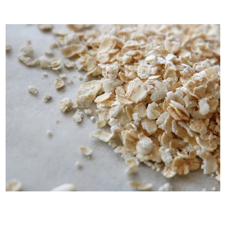 new production bulk price healthy raw Roll oat rolled oats for breakfast food