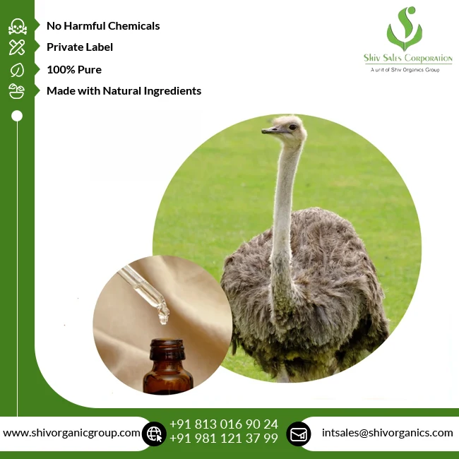 Indian Exporter of Top Quality Wholesale Cosmetic Grade 100% Pure and Natural Emu Oil at Reasonable Market Price