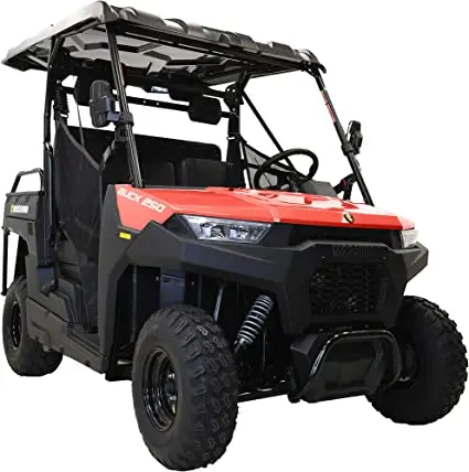 Buy Quality Massimo Buck 250X Golf | 4 Seater EFI w/Roof Windshield 2WD UTV/Golf Cart