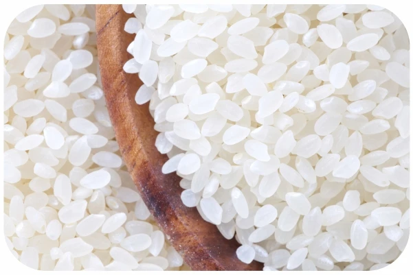 Newest Crop Japonica rice 5% broken (round grain rice ), Vietnam origin rice with good quality, reasonable price