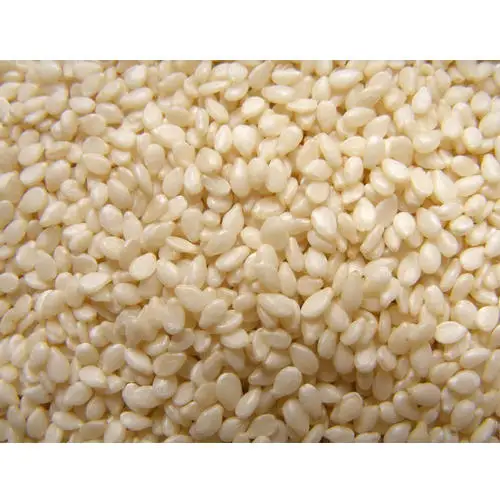 Wholesale Natural Raw Sesame Seed