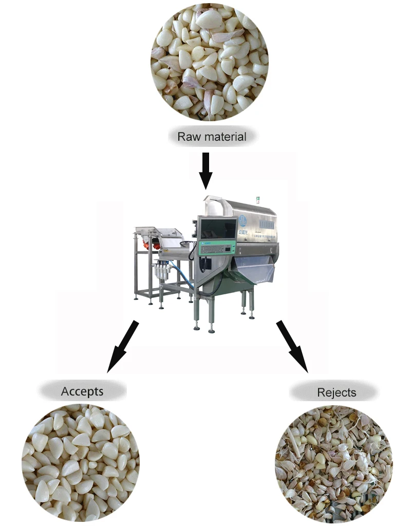 Peeled Garlic Color sorter Garlic Separator