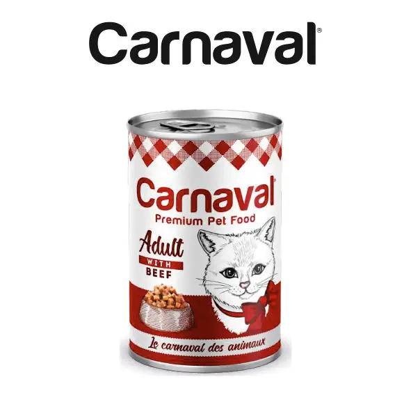 Gourmet Chicken Flavored Premium Dry Pet Food For Pet Adult Cat 15 kg