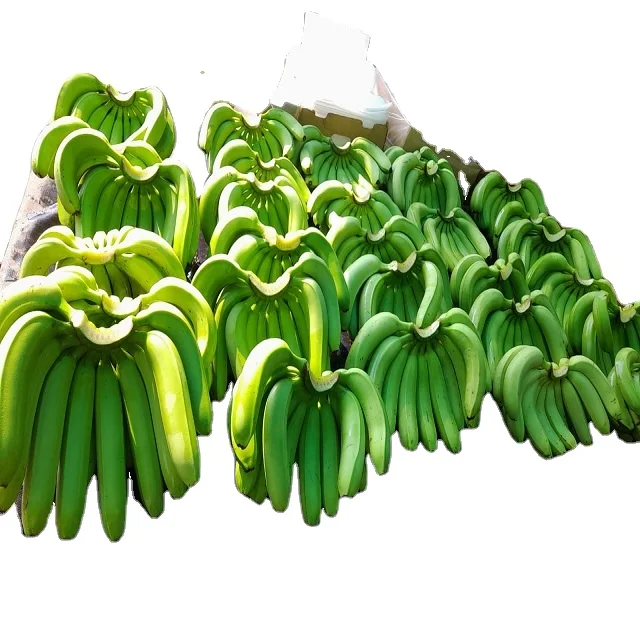 Премиум Качественный Зеленый Кавендиш Банан доступен для