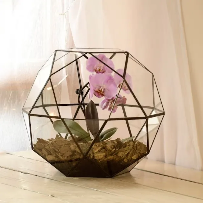 Indian Wholesale Iron Framed Round Geometric Glass Terrarium with Black Finished for indoor Outdoor Balcony Plant Decoration.