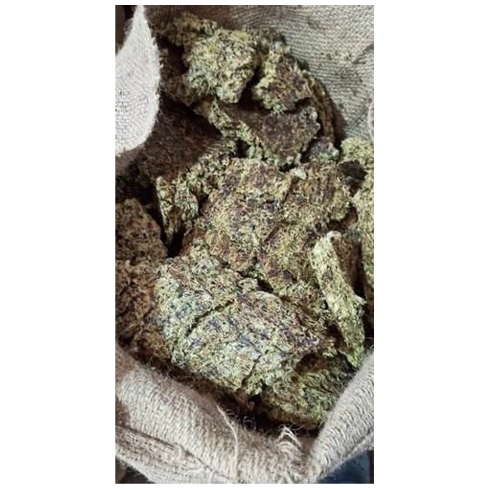 Bulk Sale Cotton Seed Meal Best Price Cotton Seed Meal Cake for Animal Feed