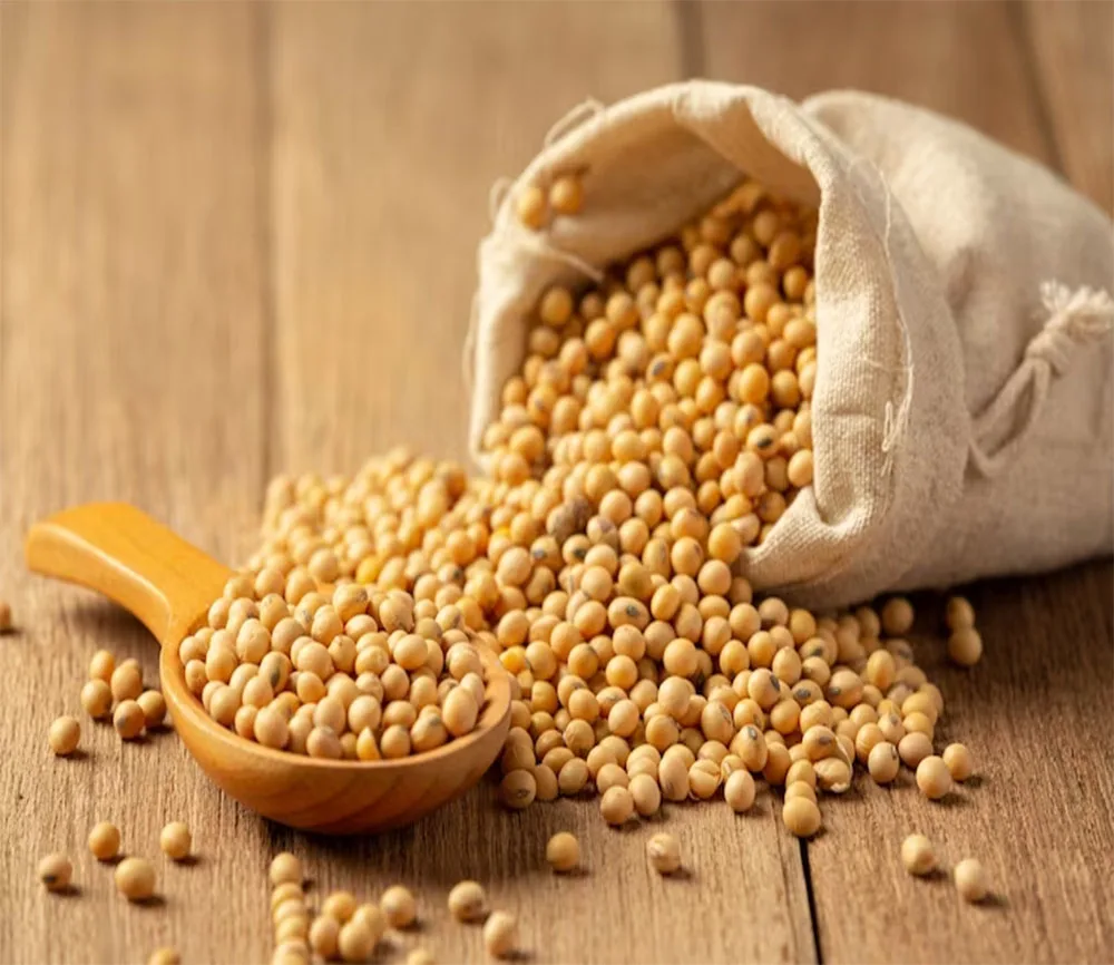 Soybean Oil 100% Pure and Natural for Food Cosmetic and Pharma Grade Impeccable Quality at the Best Prices