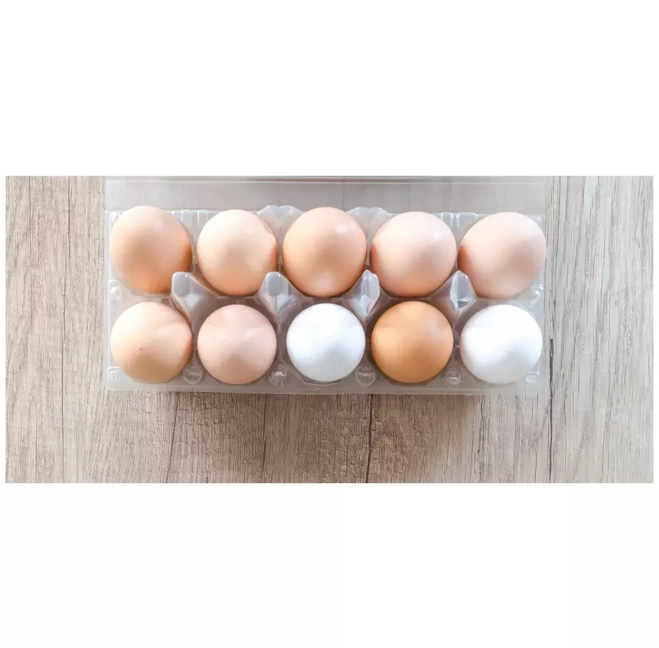 fresh Brown /white Shell Table Eggs /agriculture /chicken eggs
