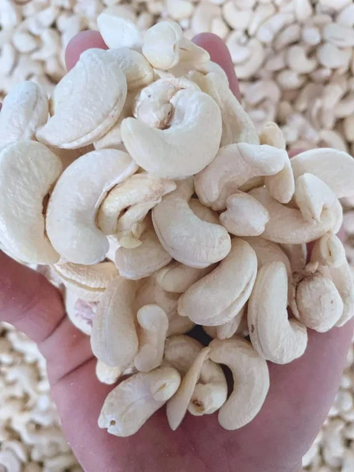 Сделано в Вьетнаме, оптовая продажа, органические орехи кешью, сырые сушеные орехи кешью, самая низкая цена, ядра кешью