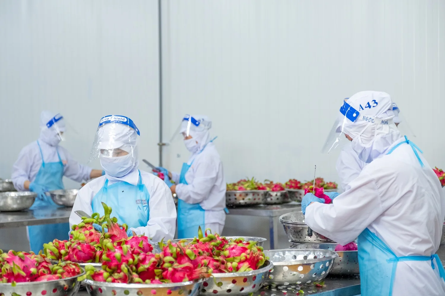 100% Natural Flavor Fresh Normal Feature Organic Naturally Taste Frozen Red Dragon Fruit Puree Seed-in