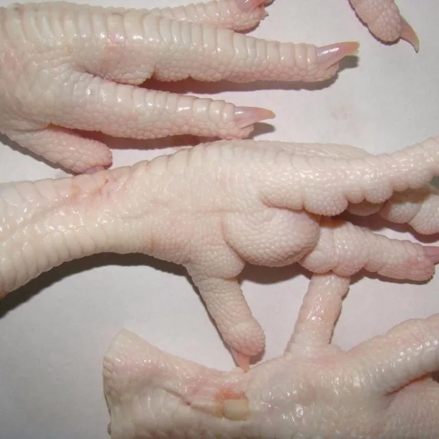 FROZEN CHICKEN FEET & PAWS / HALAL CERTIFIED CHICKEN / BREAST / DRUM STICK