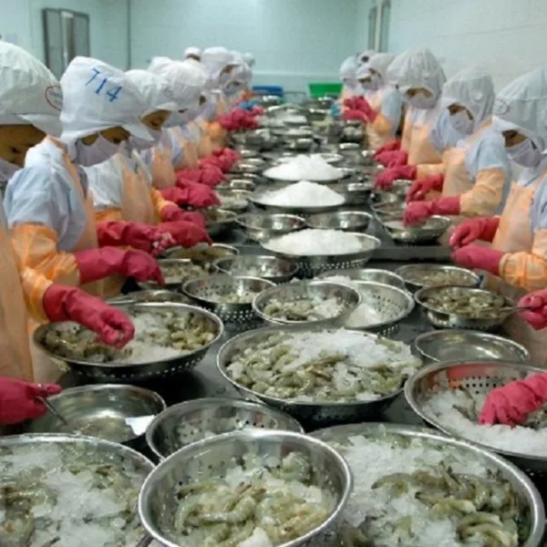 Viet Nam vanamei shrimp frozen seafood whole sale