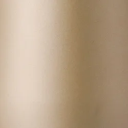 Vacuum stainless steel thermo tumbler 390ml(Champagne Gold)