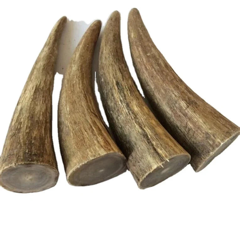 Beautiful Tip For Home Decoration Made With Natural Buffalo Horn And OX Cow Best Price
