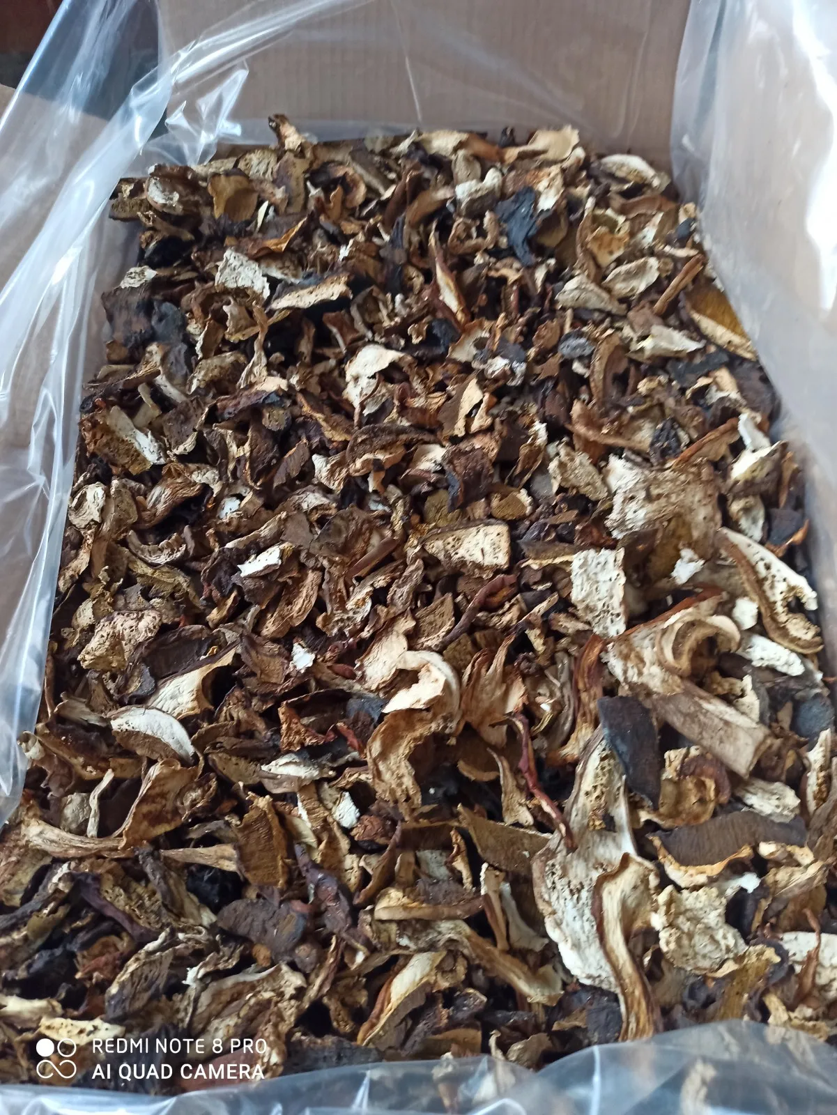 Dried Boletus edulis (porcini) - Third grade