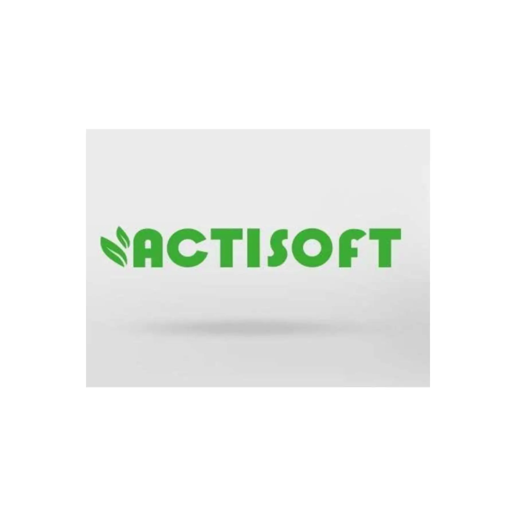 Actisoft Bamboo Stick освежитель воздуха 100 мл бергамот