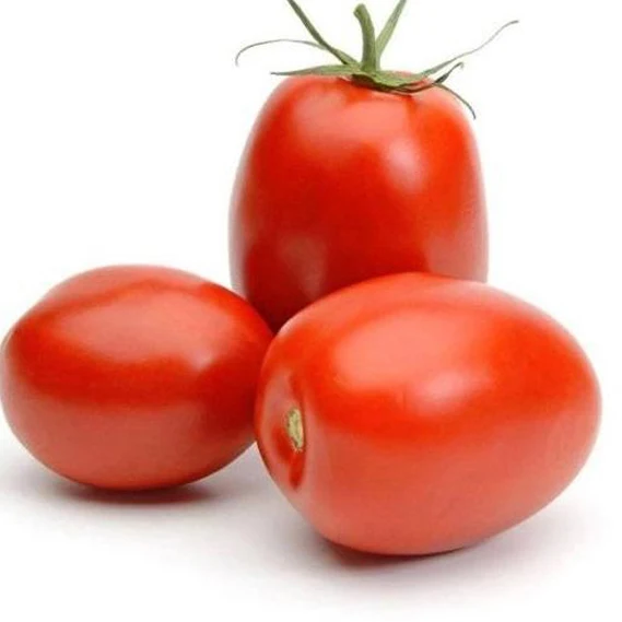Wholesale Fresh Oraganic Fresh Tomato 100% High Quality Exporting Standard With Competitive Price