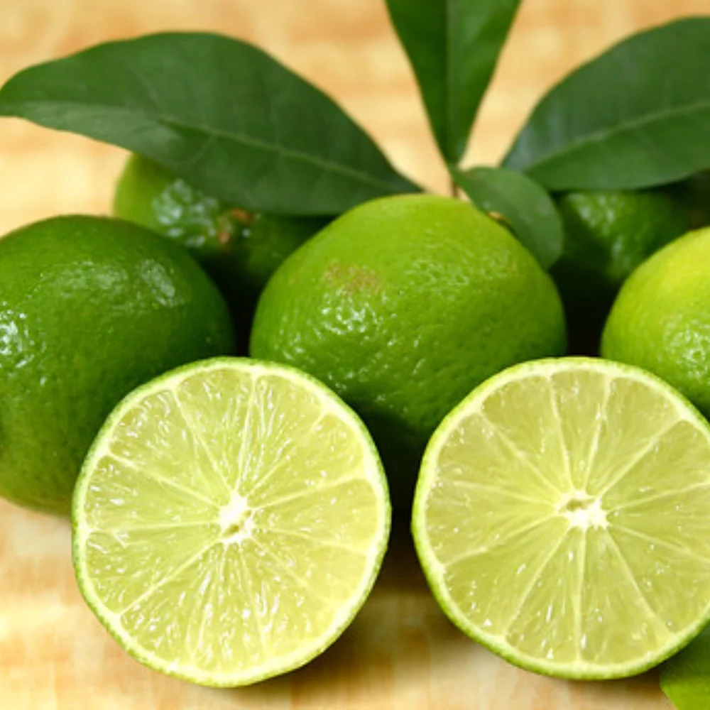 [Sale Off 2022] Fresh Seedless Lime Lemon - High Quality Wholesale Good Price Ready To Ship From Vietnam