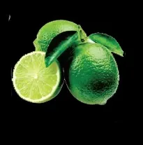 Wholesale cheap Price Hot sale high quality fruit green Lemon Fresh seedless Lemons