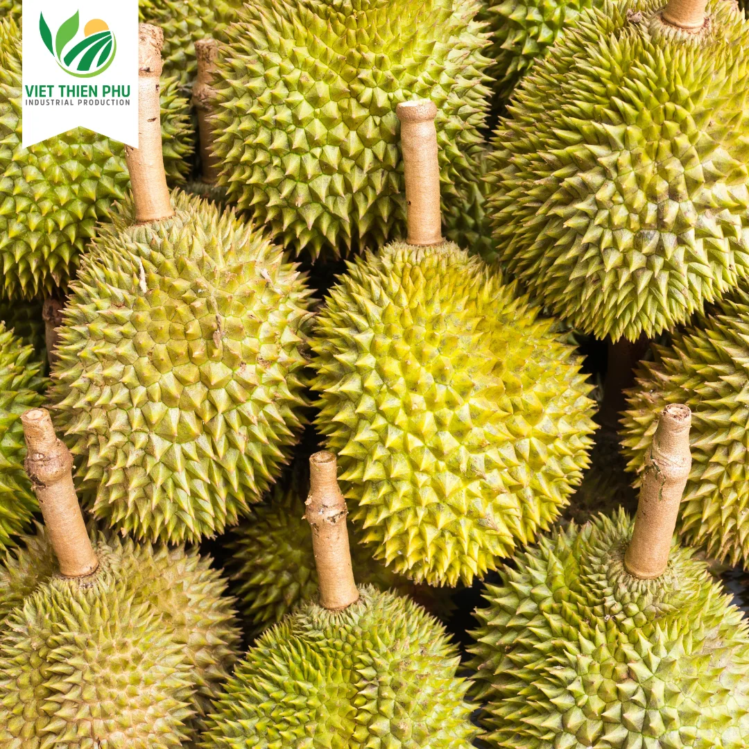 Frozen Durian Ri6/ Frozen Durian Monthong/ Fresh Durian From Viet Nam