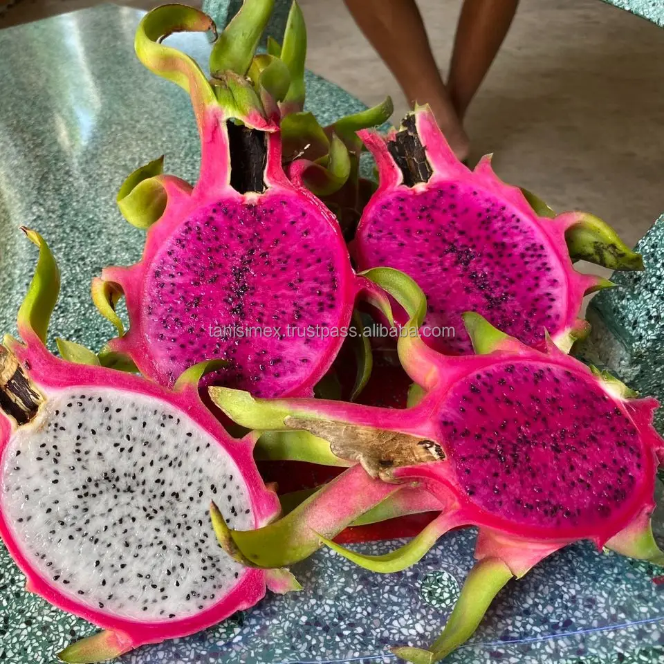 PREMIUM VIETNAMESE DRAGON FRUIT FOR EXPORT: RED & WHITE FLESH VARIETIES