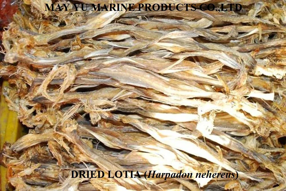 High Quality Dried Bombay Duck Fish