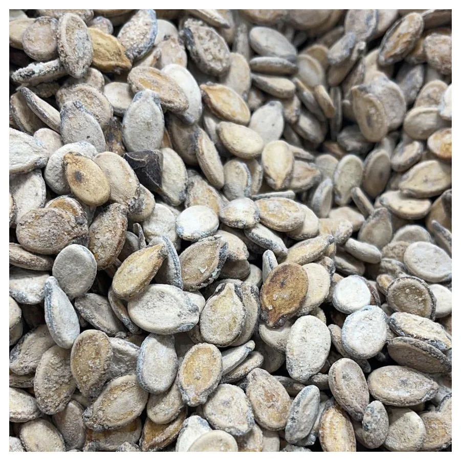 CERTIFIED YELLOW WATERMELON SEEDS / GOLDEN MELON SEEDS Organic watermelon seeds / White watermelon seeds