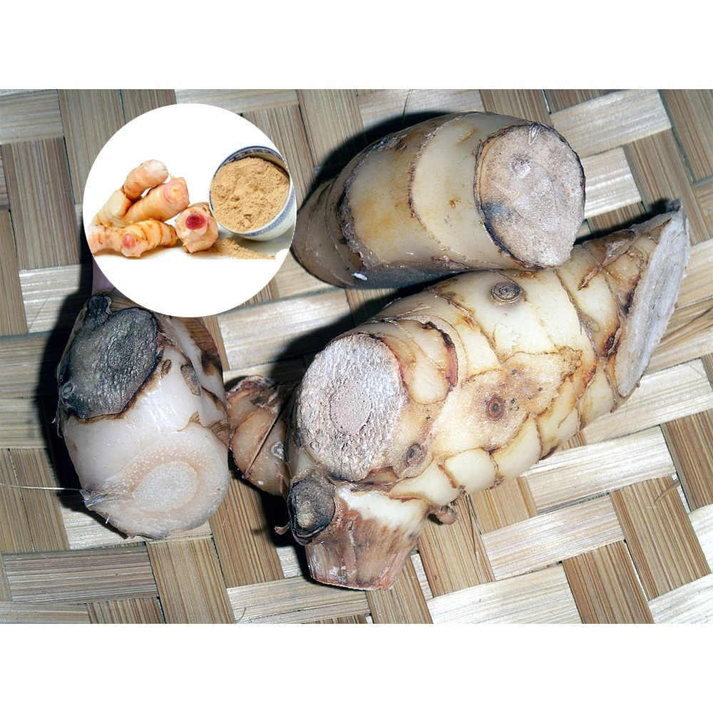 Best Selling Product Galangal Powder Alpinia Galanga Thai Ginger Powder Exporter
