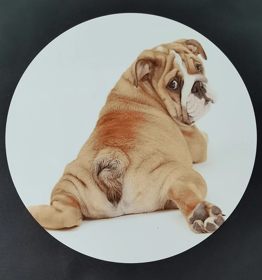 Metaleks hot selling beautiful Aluminum heat press 1mm thickness white Aluminum plate