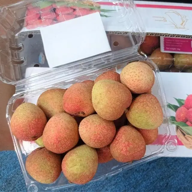BEST FRUIT IN VIETNAM LYCHEE, GLOBAL GAP CERTIFICATE
