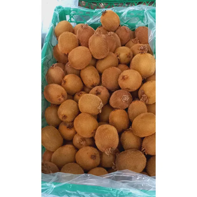 Top Sale Sweet Kiwi Fruit Peeled Frozen Kiwi IQF Export Factory Price Wholesale Egypt Kiwi Fruit Premium Grade