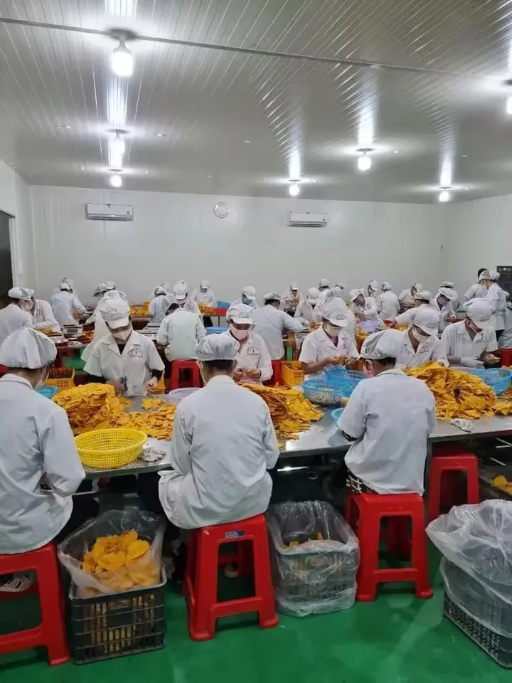 Hot Deal for Wholesale Premium Quality Delicious Dried Mango Fruit for Sale, Cheap, and Soft