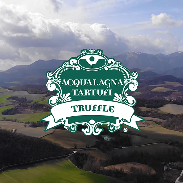 Italian Gorgonzola Sauce with Black Summer Truffle 180 g New Product 2023