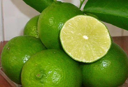 Wholesale Fresh Green Seedless Lemons 100% Natural Citrus Fruit from Vietnam Available in Hoang Kim Viet Nam