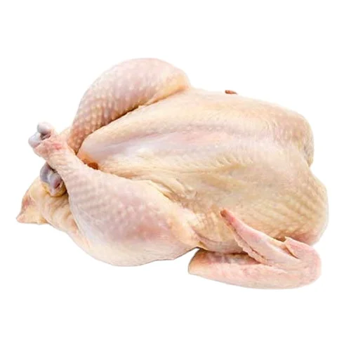 Frozen Chicken Drumsticks/Wholesale quantity bulk frozen halal boneless chicken breast