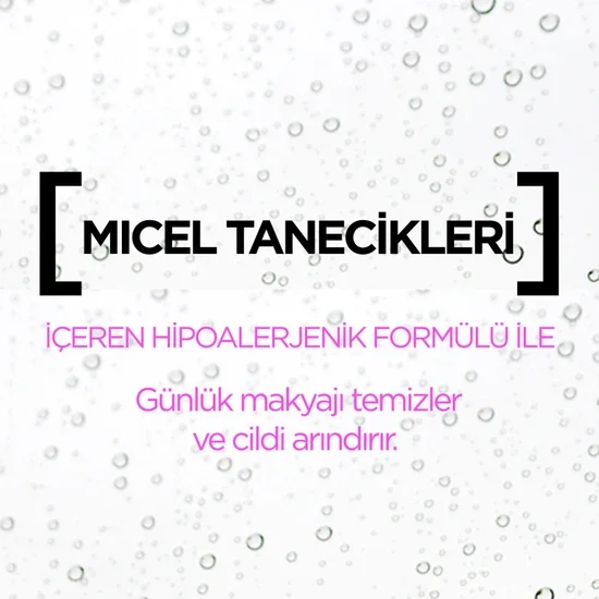 GARNIER SKINACTIVE Micellar Cleansing Water All-in-1