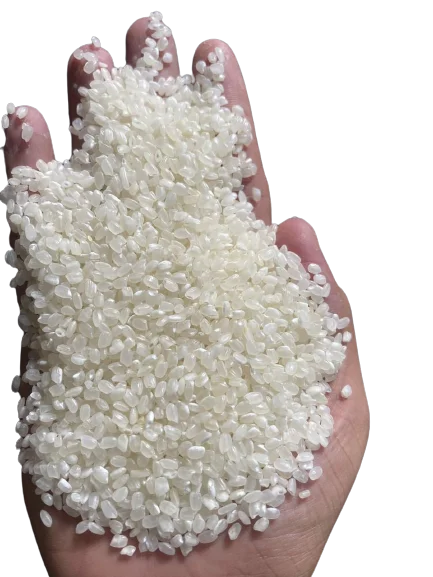 Japonica Rice Machine Fast Delivery Export Food High Protein Customized Packaging From Vietnam Trading