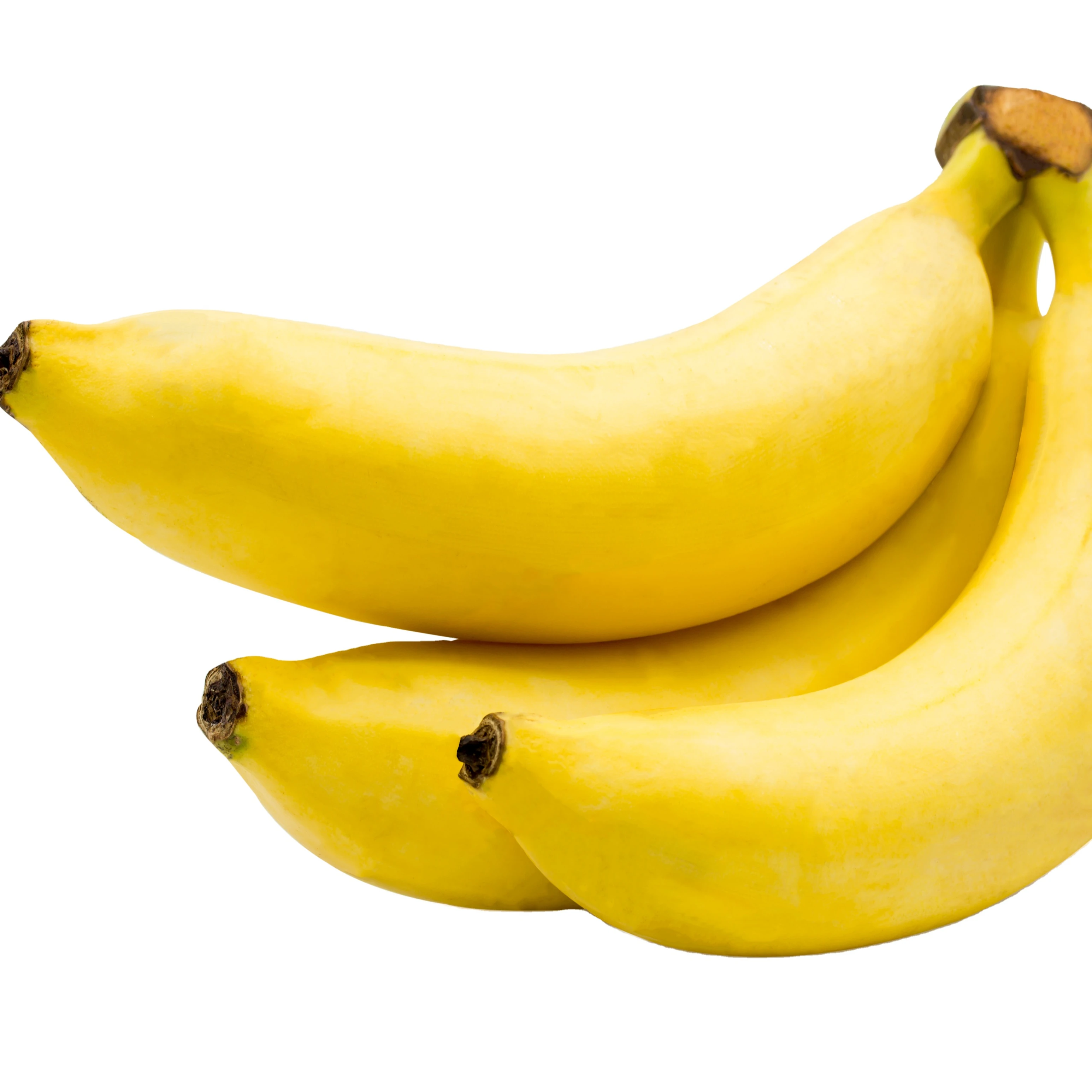 Желтые бананы, лучшие цены, высококачественные тропические фрукты, вьетнамские кавендишские зеленые бананы премиум-класса от производителя Viet Nam