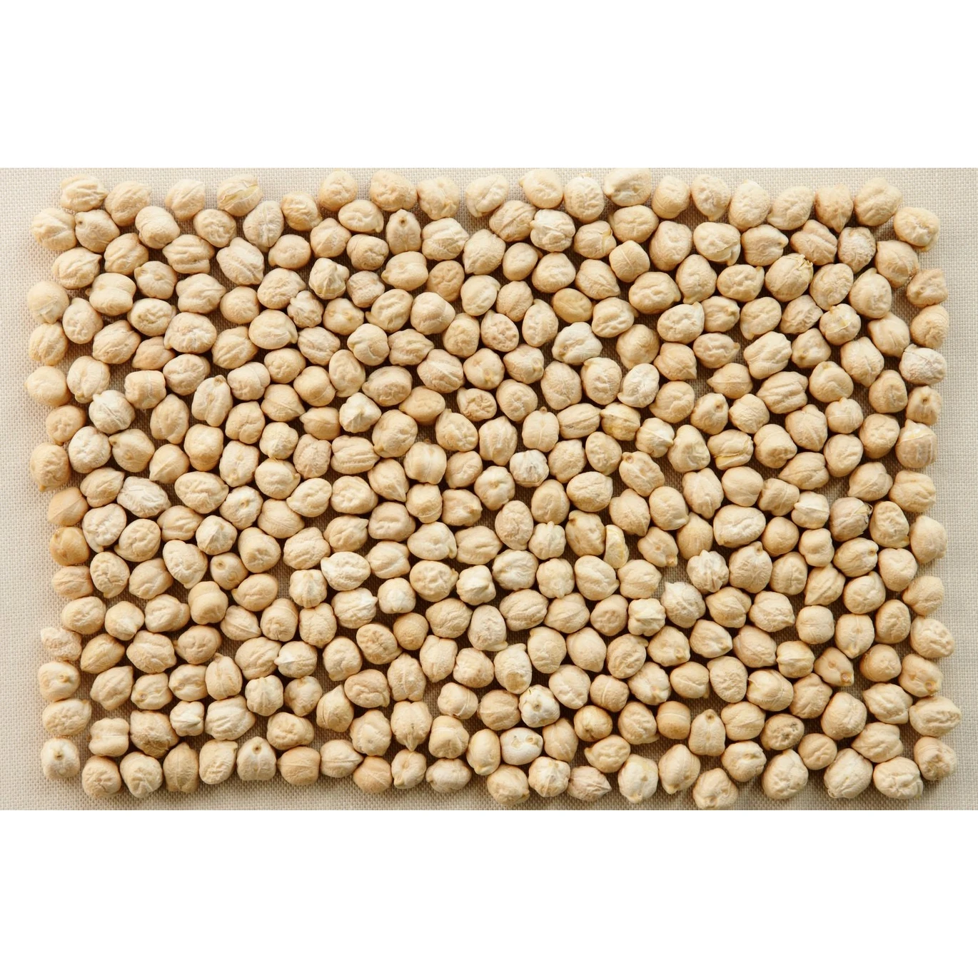 100% Pure Food Grade Kabuli Chana / White Chickpeas Wholesale Price Dried Chickpeas Quality Chickpeas/Chick Peas Price Best
