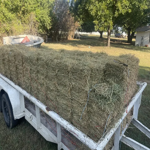 High-Quality Alfalfa and Timothy Hay for Animal Feed - Buy in Bulk with Fast Shipping and Discounted Prices