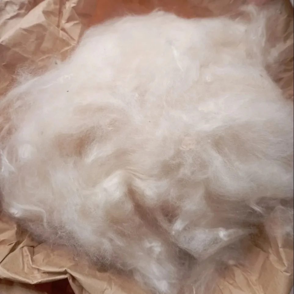Wholesale price Soft Kapok Pods Kapok Fiber Silk Cotton Bedding Pods Hamsters/ Nest and Chewing toy for Small Animal and Birds