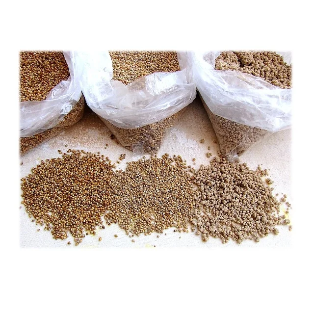 Wholesale Best Price Supplier Organic Millet Grains Fast Shipping
