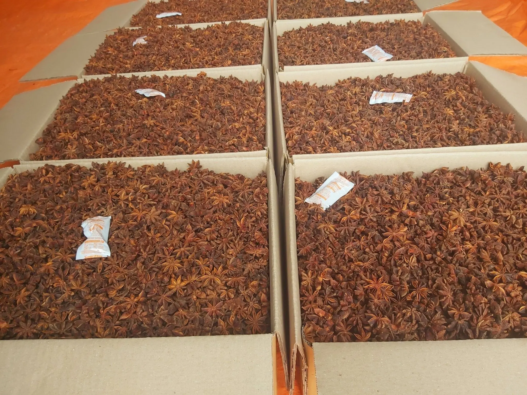 High Quality Dried Star Anise New Crop Spices for Cooking Wholesale Bulk Cinnamon Seed and Herb at Low Prices