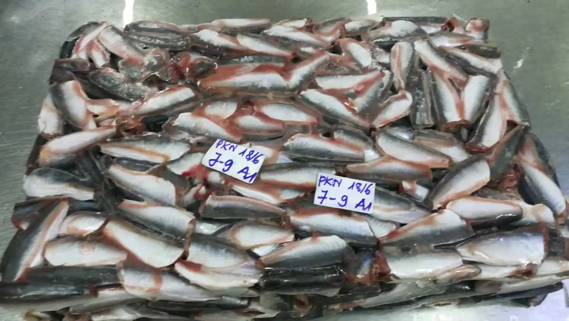 High Quality Ingredient Whole Part Body Manufacture Seafood frozen fish prices Round Scad HGT from Vietnam