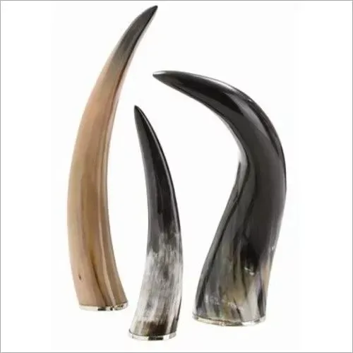 Low price cow horn natural color and drinking horn with polished for buffalo horn tabletop