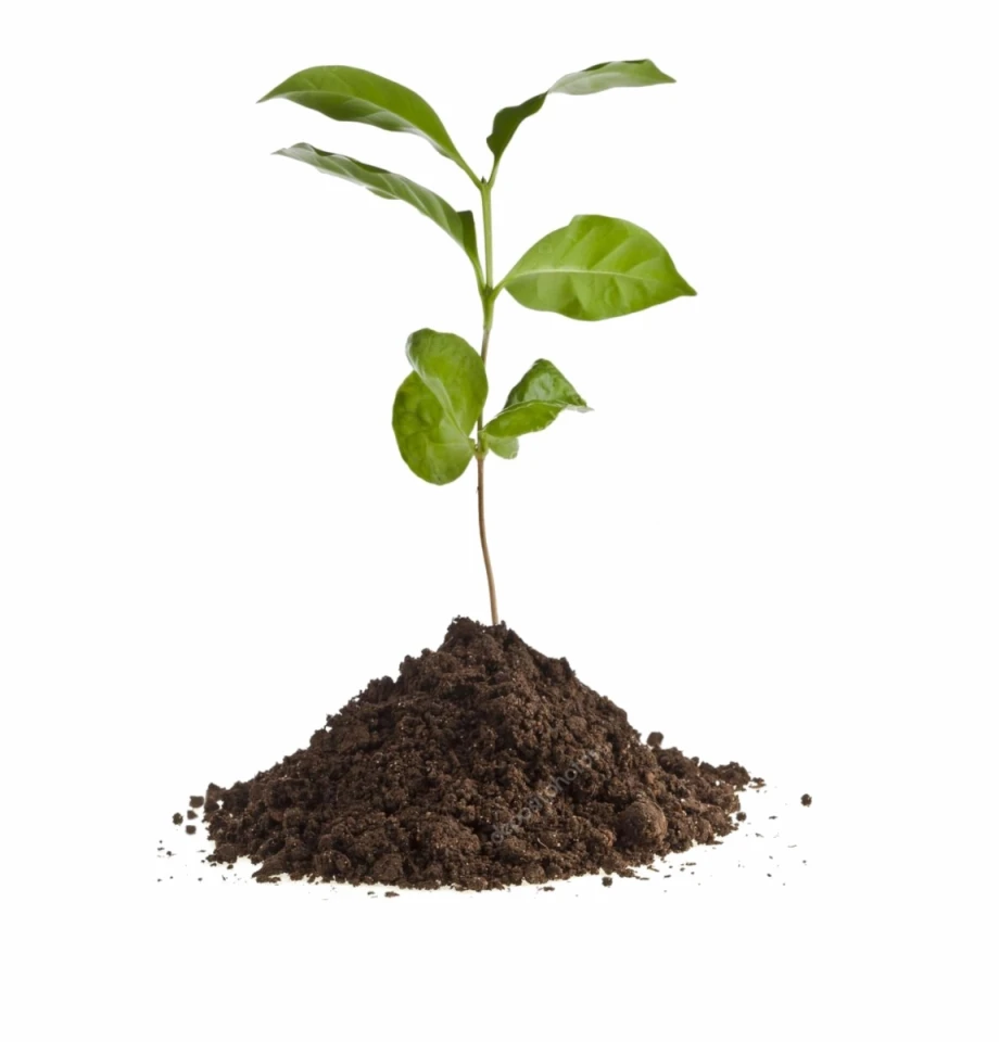 Chicken manure organic fertilizer made in Japan high quality and organic matter wholesale